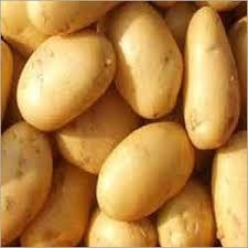 Potatoes fresh