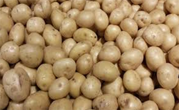 Frozen fresh potatoes