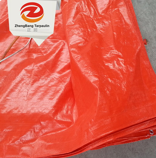 China PE Tarpaulin plastic sheets