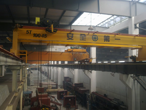 10 ton bridge crane