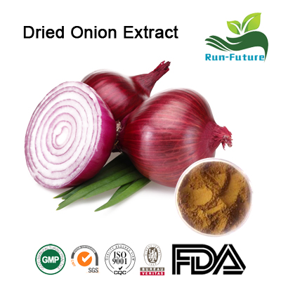 Dried Onion Extract