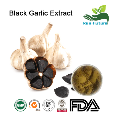 black garlic EXtract