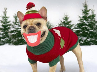 Vinyl Pet Toys With Teeth Shape