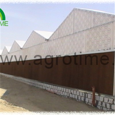 Multi Span Polycabonate Greenhouse