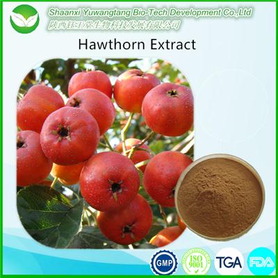 Hawthorn Extract