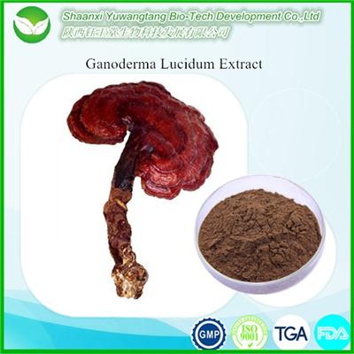 Ganoderma Lucidum Extract