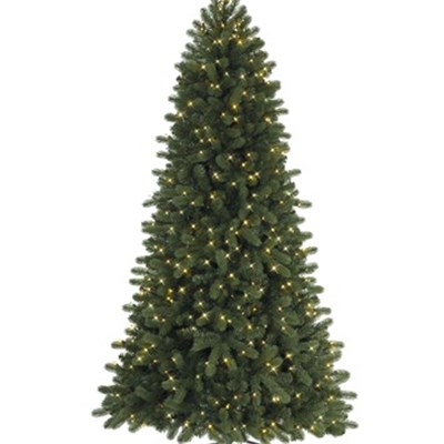 Christmas Tree For Outdoor