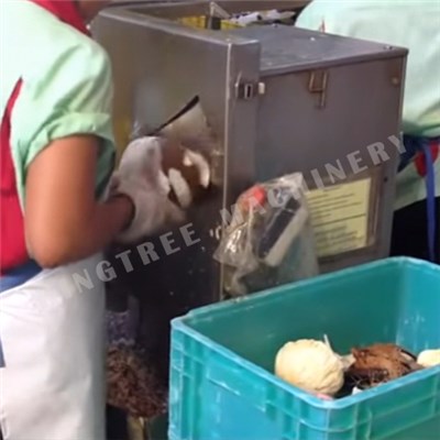 Coconut Testa Removing Machine