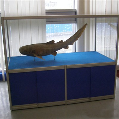 Laminated Meeting Glass Table