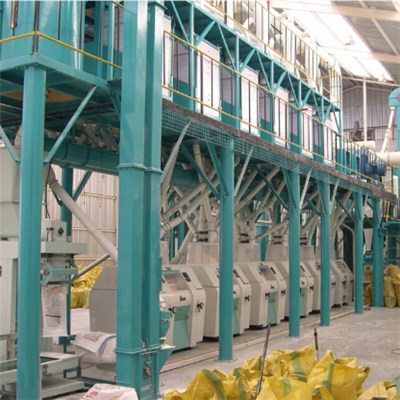 South Africa Maize Processing Machine 50T Per D