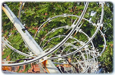 Razor Wire