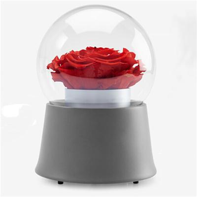 Red Rose Music Boxes