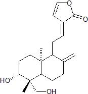 Dehydroandrographolide