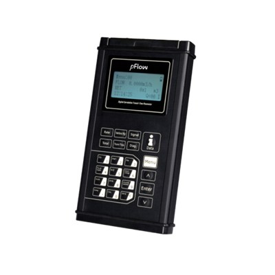 Portable Ultrasonic Flowmeter P116