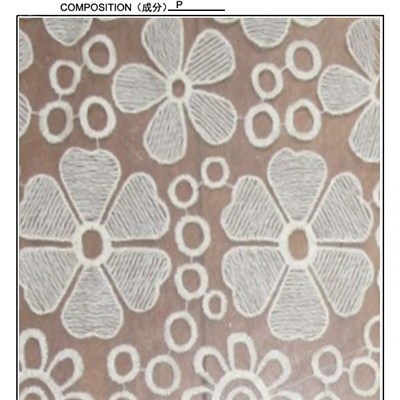 White African Embroidery Lace Fabric ( S8037)