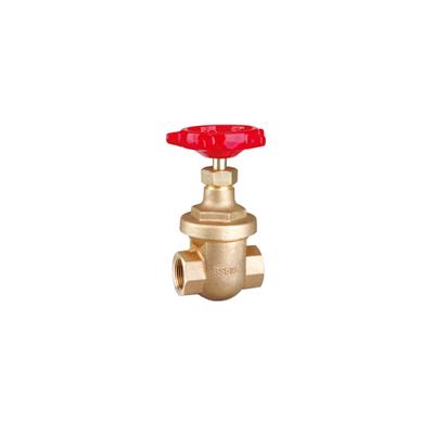 Double Flanged Bronze Gate Valve