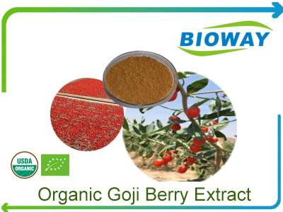 Organic Goji Berry Extract Powder