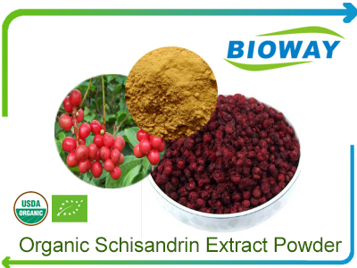 Organic Schisandrin Extract Powder