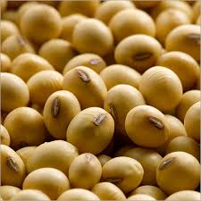 soybean extract