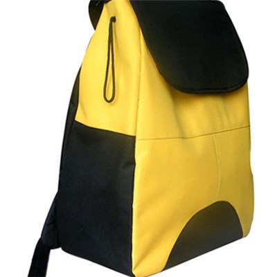 600D Backpack With Cooler Leak Proof Compartment