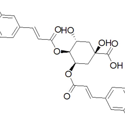 Isochlorogenic Acid B