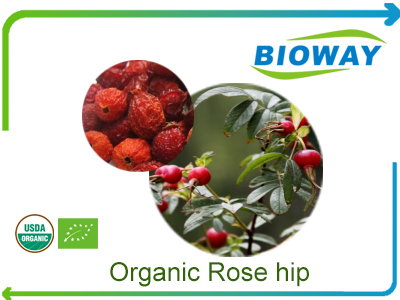 Organic Rose Hip