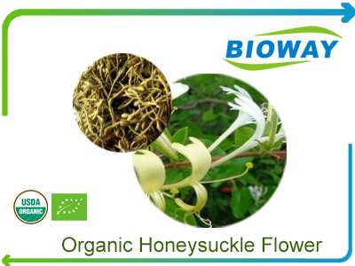 Organic Honeysuckle