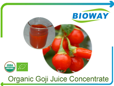 Organic Goji Concentrate