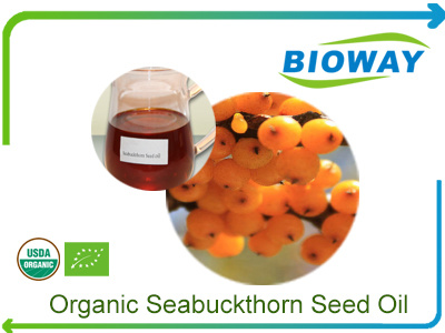 Organic Seabuckthron Seed Oil