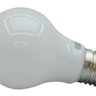 LX-LB12/LED Globe Bulb