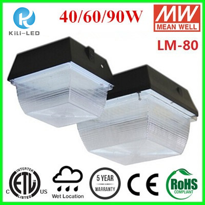 90 W Surface Mount Canopy