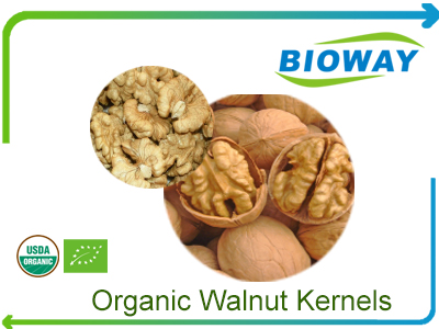 Organic Walnut Kenels