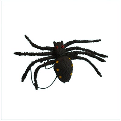 Halloween Spider