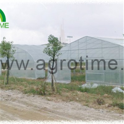 Tomato Plastic Greenhouse