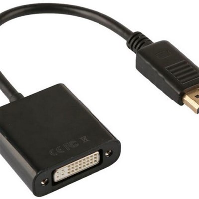 DP to DVI Converter Cable