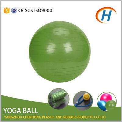 Gym Equipment Yoga Ball