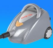 Steam Cleaner