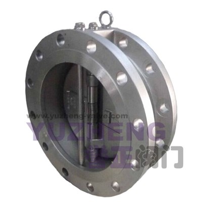 Wafer Check Valve With Flange End