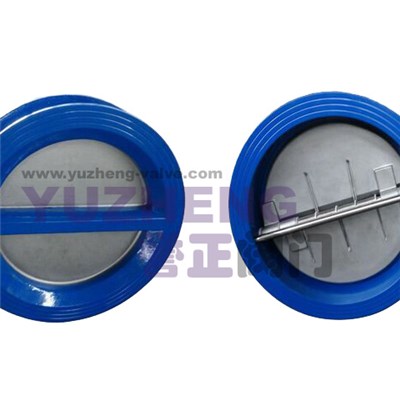 Double Disk Swing Check Valve