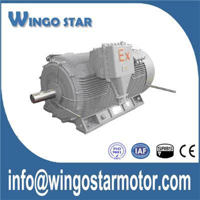 High Voltage Explosion Proof Motor