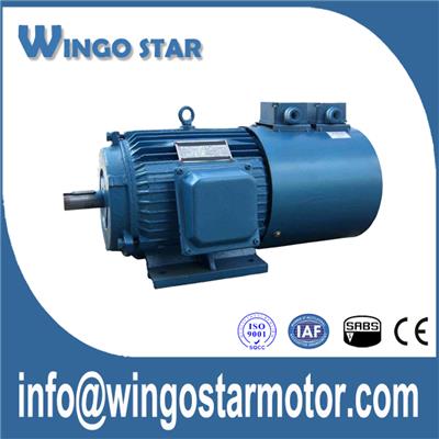 Variable Speed Electric Motor