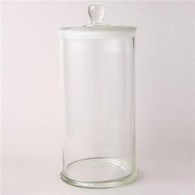 Glass Specimen Jar