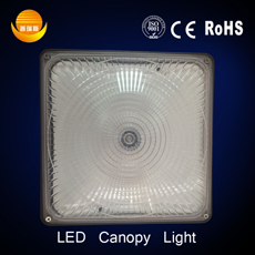 30W-70w LED Canopy Light