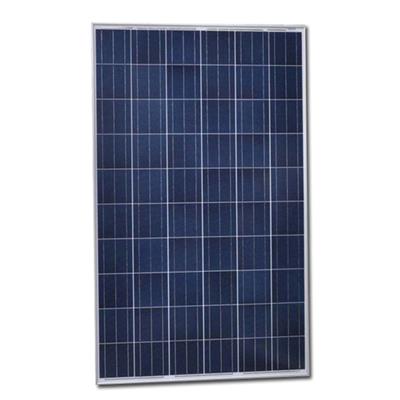 250W Poly Solar Panel