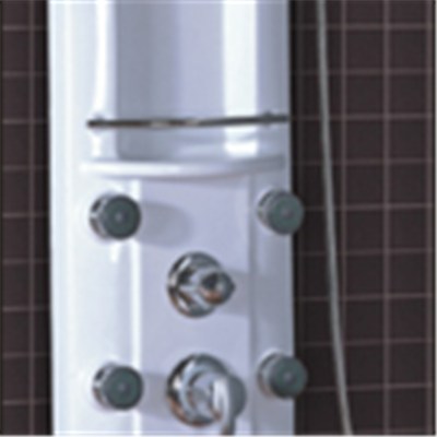 CICCO Bathtub Acrylic Shower Panels SP5-009
