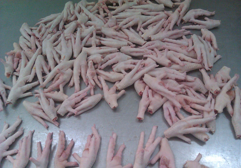 Frozen Chicken Feet & frozen chicken Paws