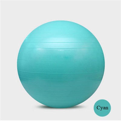 65cm Anti-Burst Yoga Ball Lose Weight Gym Ball