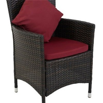 KD Rattan Wicker Chair With Cushion And Pillow Aluminum Frame