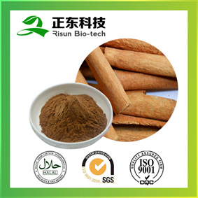 Cinnamon Bark Extract--A Source of Micronutrients--VitaminK, Iron, Calcium, Manganese and Dietary fiber