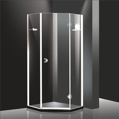 Custom shower doors